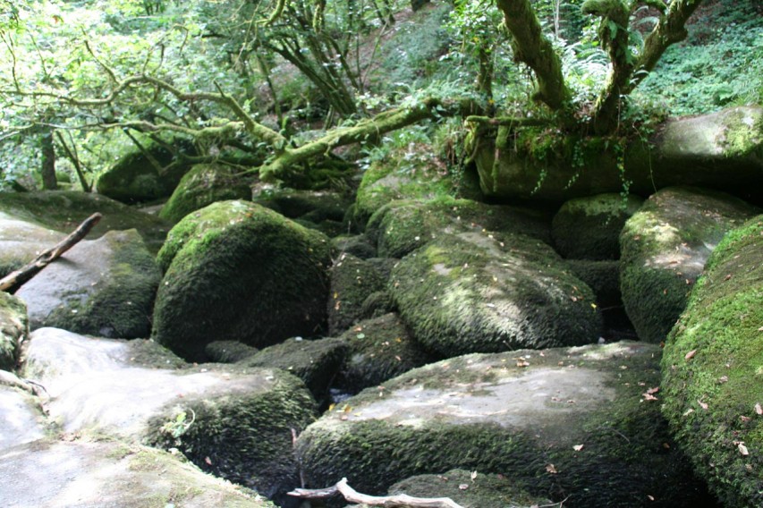 Gorges de Toulgoulic