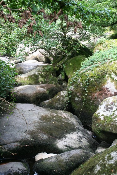 Gorges de Toulgoulic